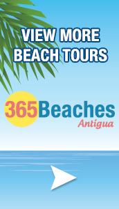 365 Beaches Tours