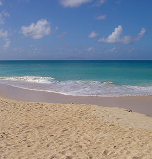 Beautiful beach in Antigua